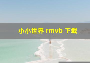 小小世界 rmvb 下载